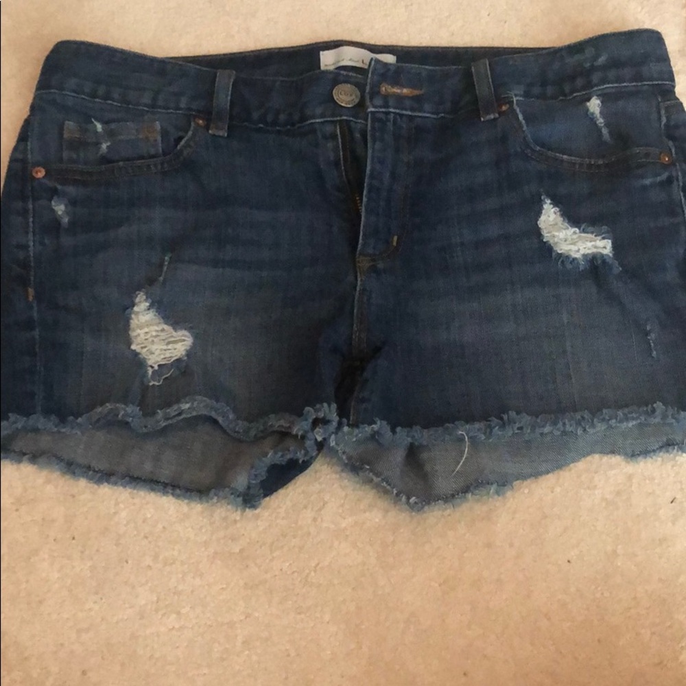 Distressed Ann Taylor Loft Shorts